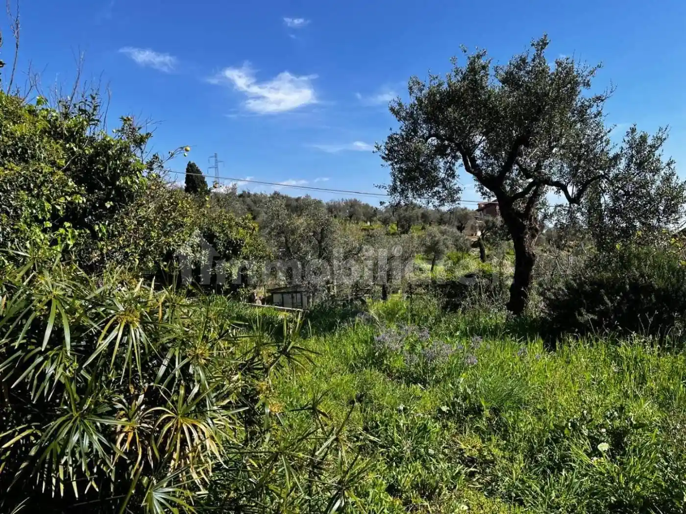 Casa indipendente in vendita a Castelnuovo Magra