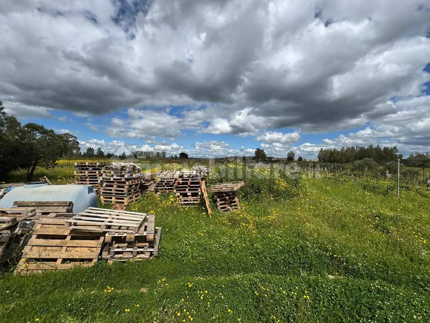 Terratetto unifamiliare Bia Concouda, snc, Decimoputzu - foto 4