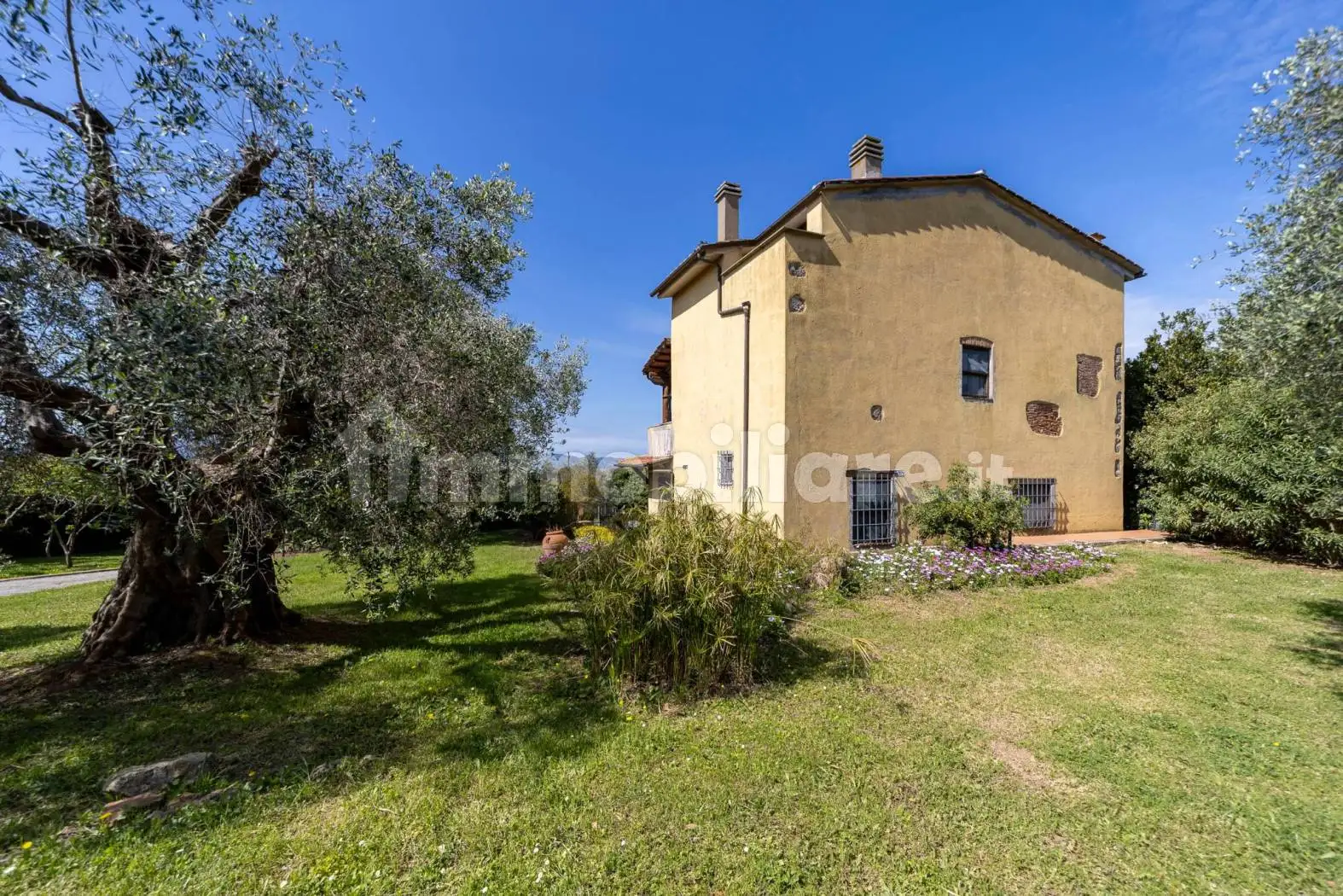 Rustico - Casale in affitto a Orbetello