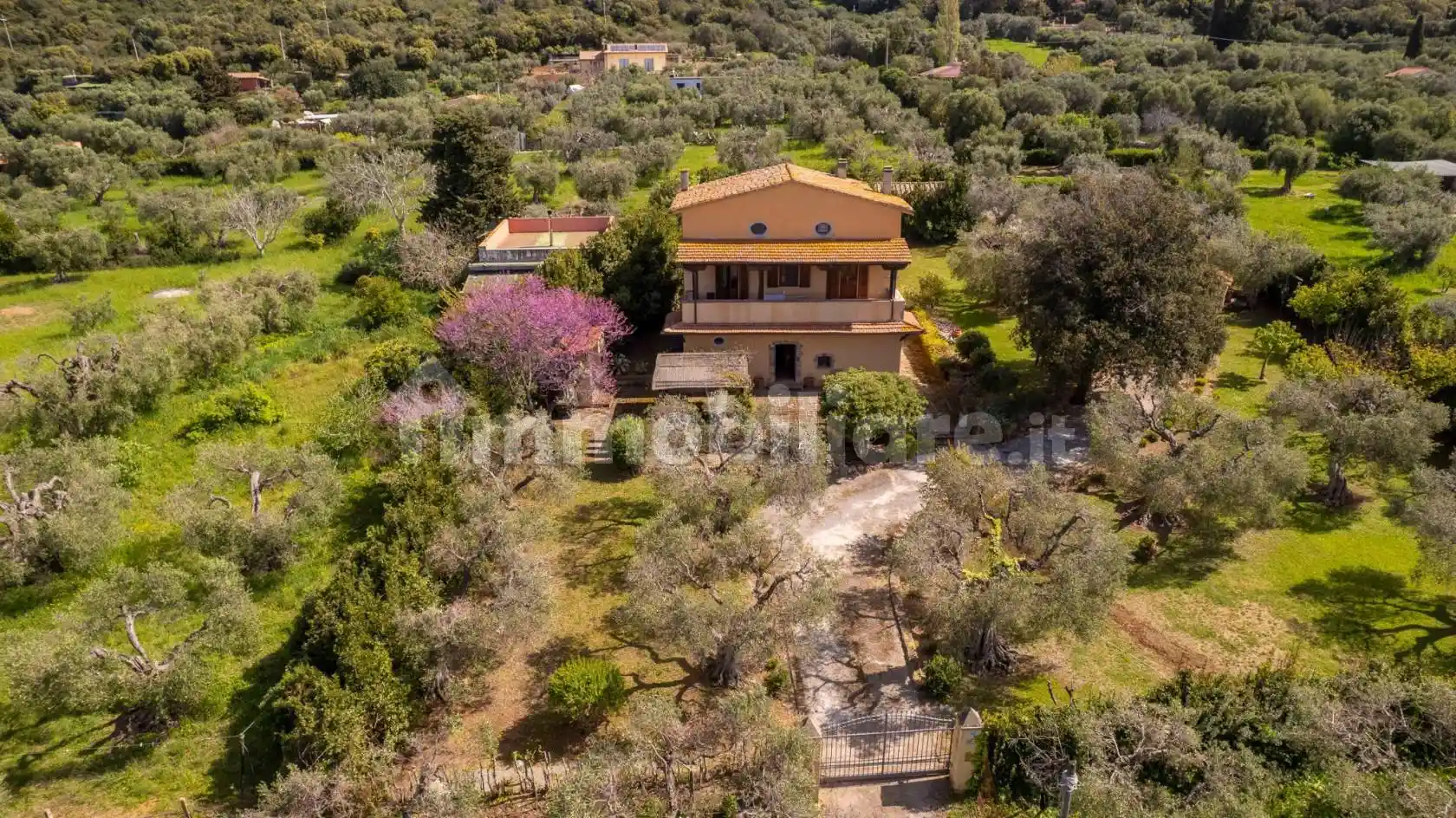 Rustico - Casale - foto 4