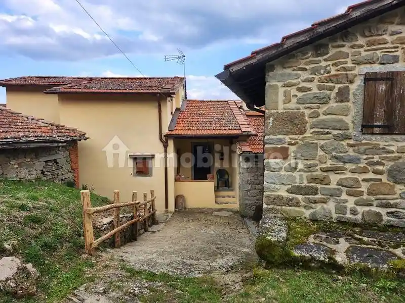 Casa indipendente in vendita a Castel San Niccolò