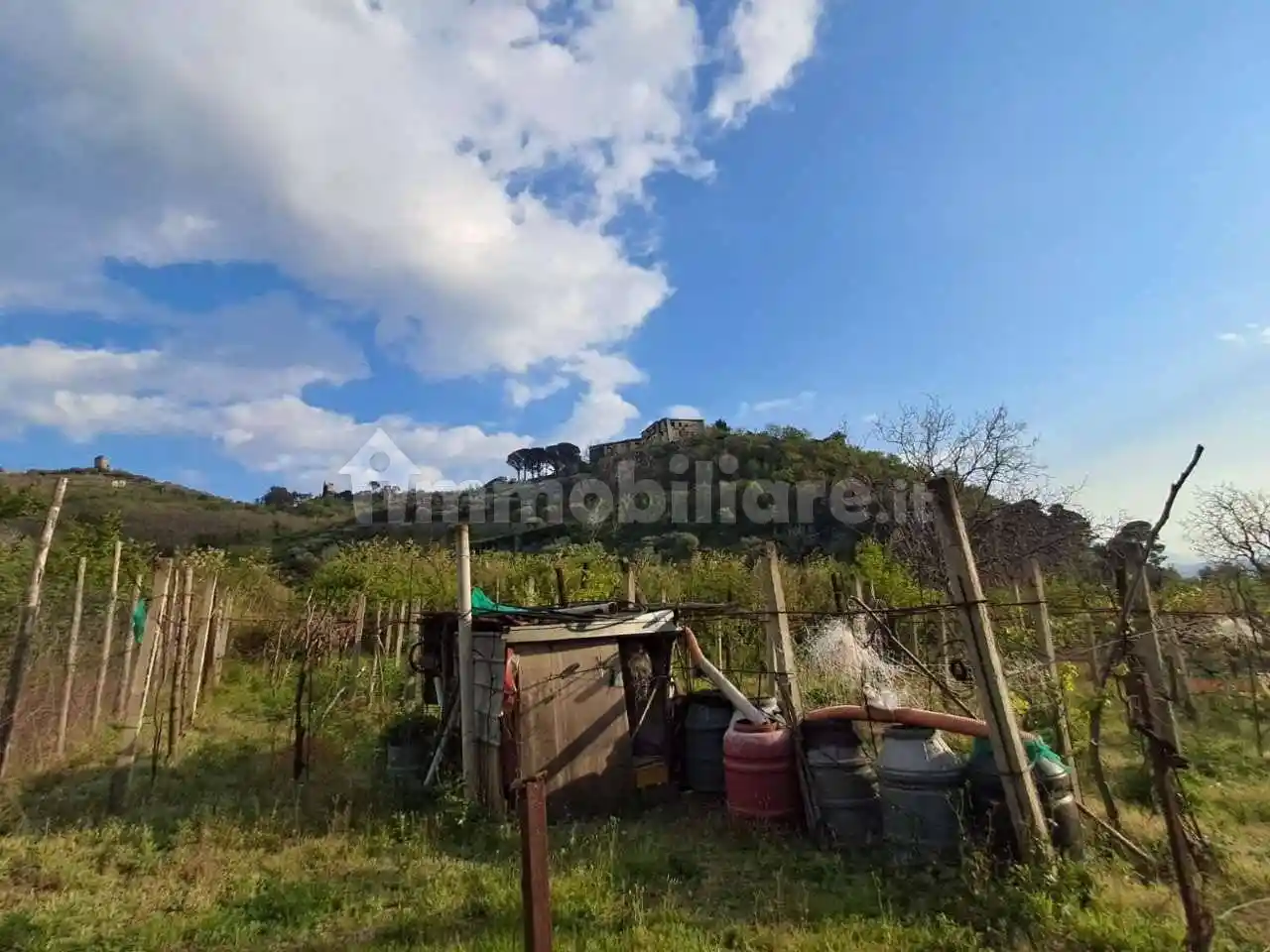 Palazzo - Edificio - foto 3