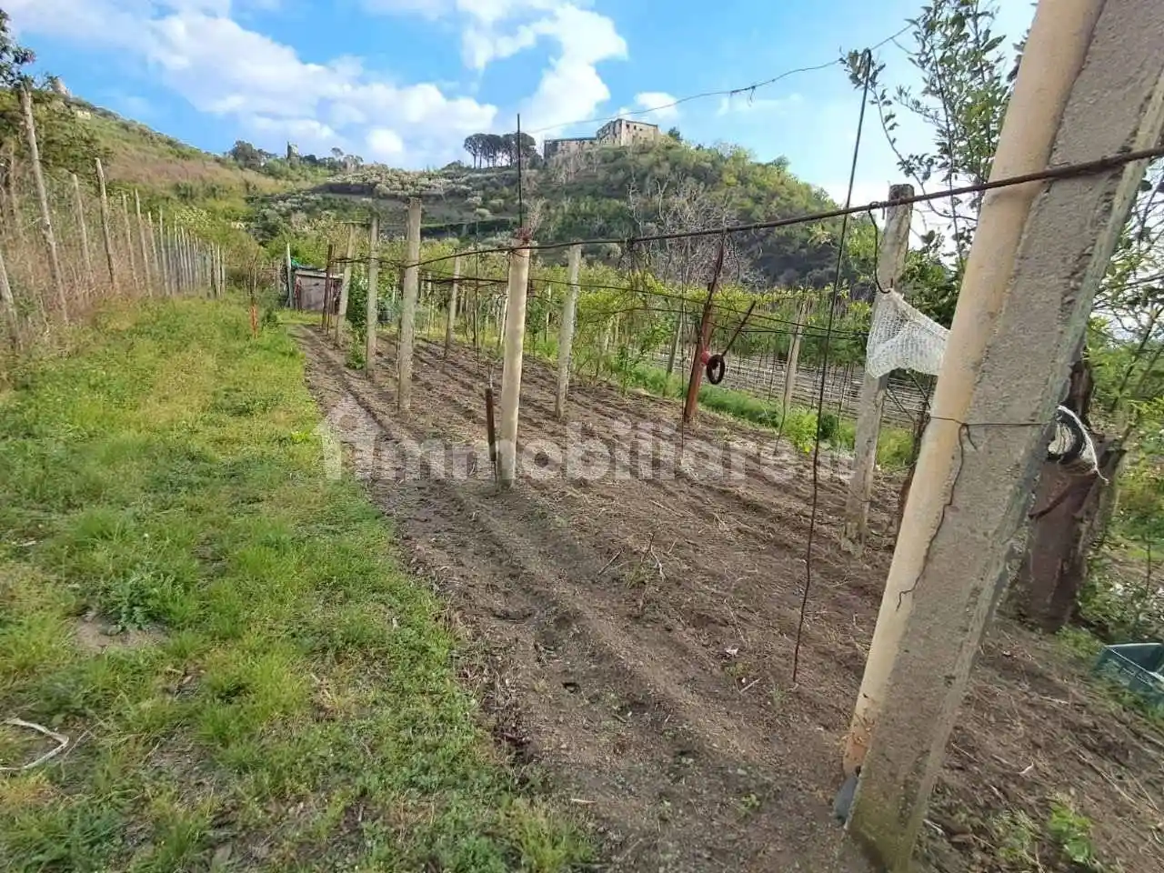 Palazzo - Edificio - foto 4