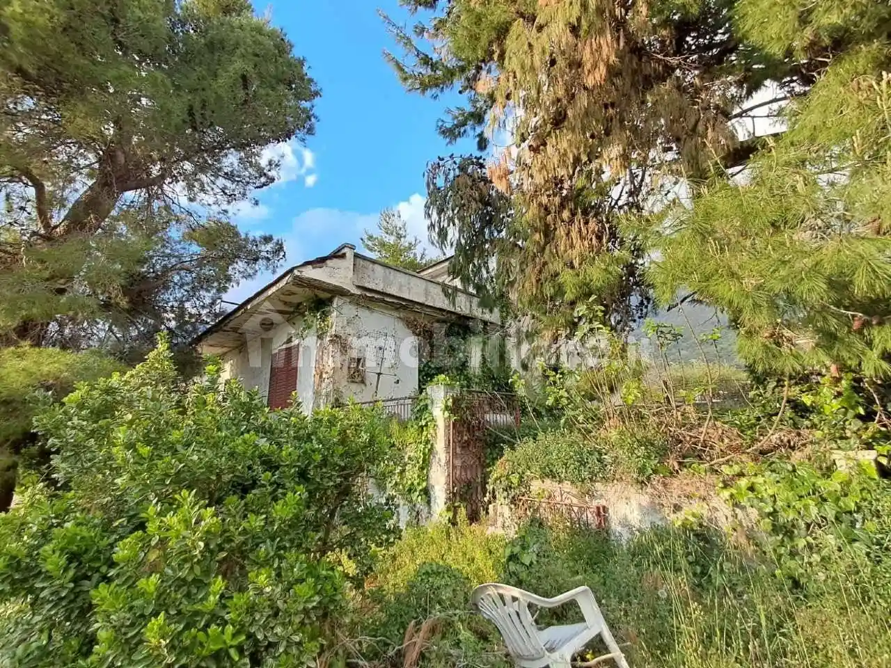 Palazzo - Edificio - foto 5