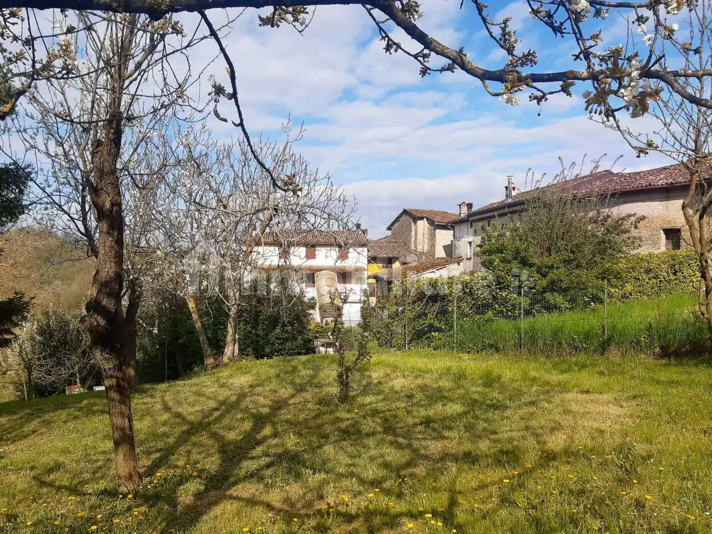 Rustico frazione Oliva, Avolasca - foto 3