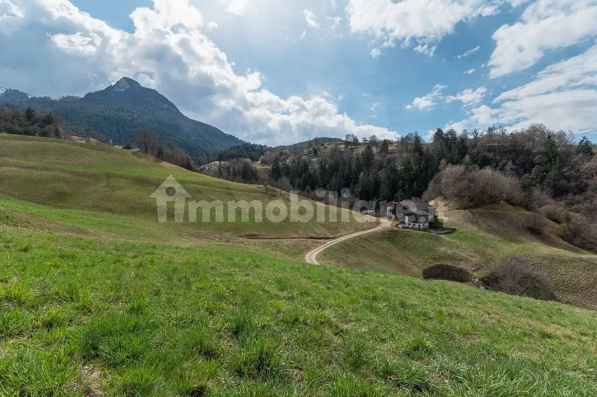 Cascina Schenkenberg, Umes, Fiè allo Sciliar - foto 5