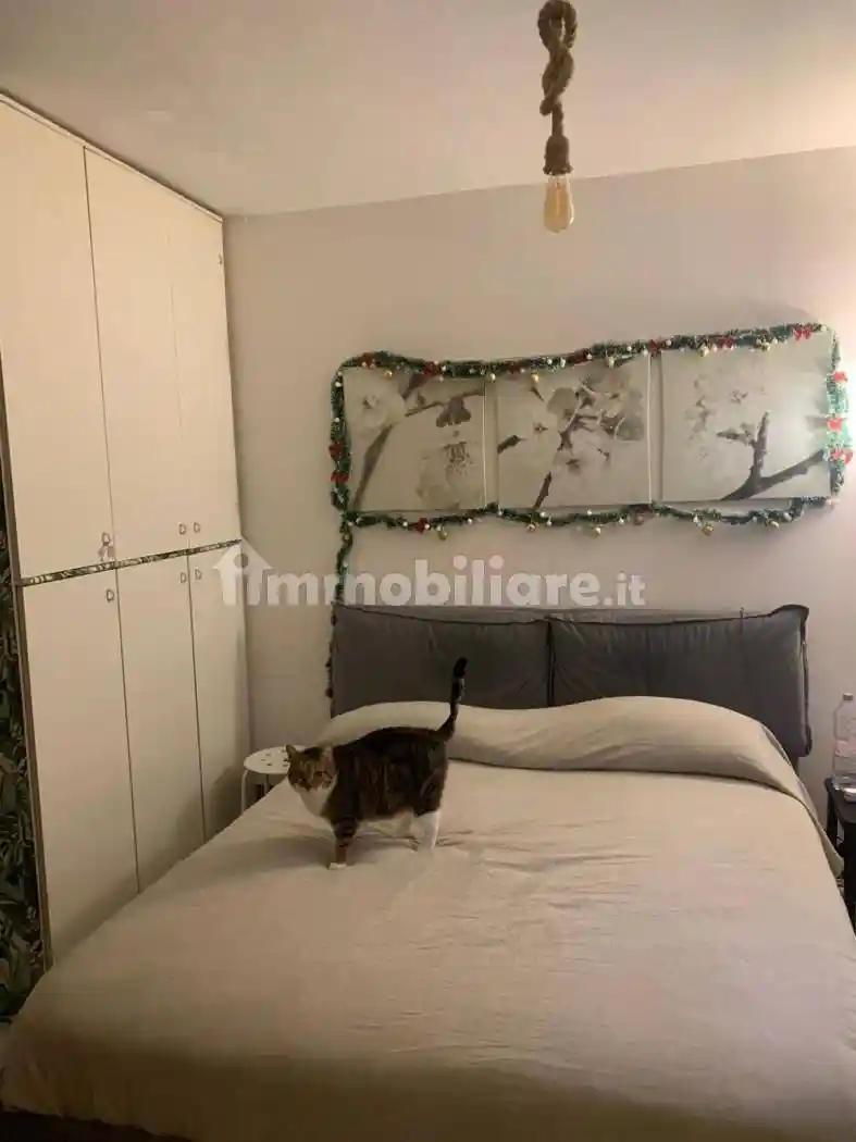 Appartamento in affitto a San Martino Siccomario