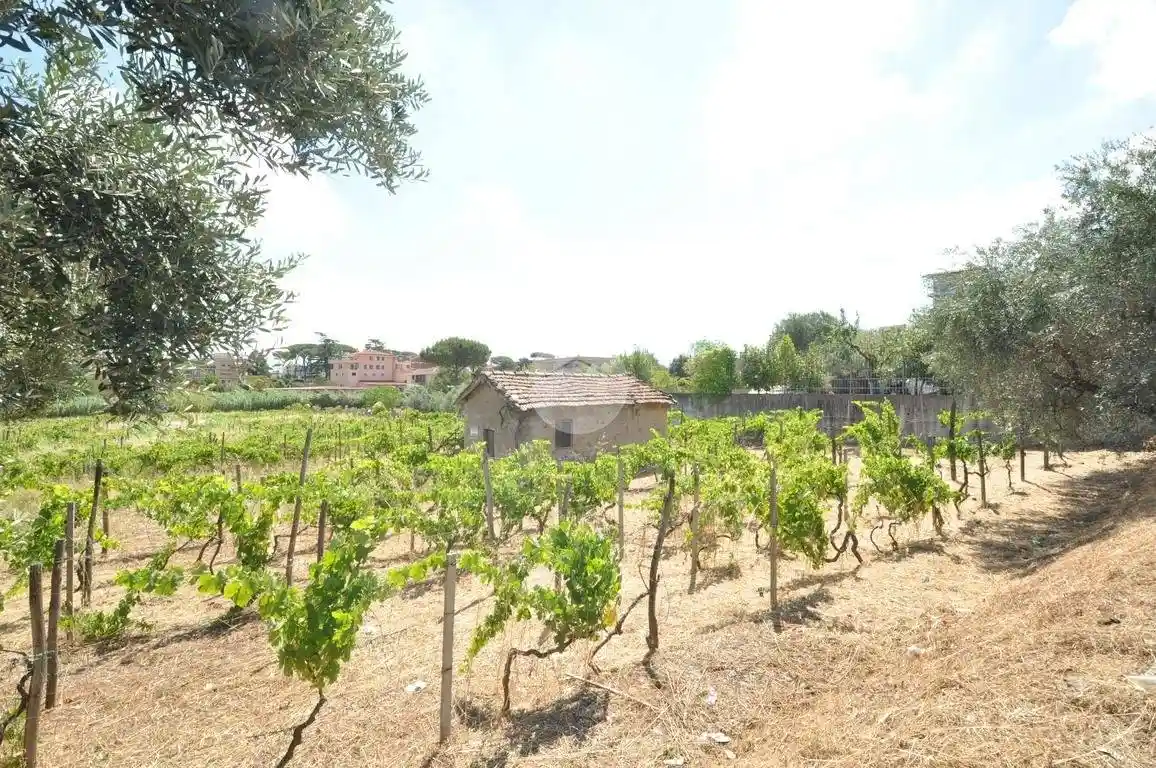 Rustico - Casale in vendita a Roma