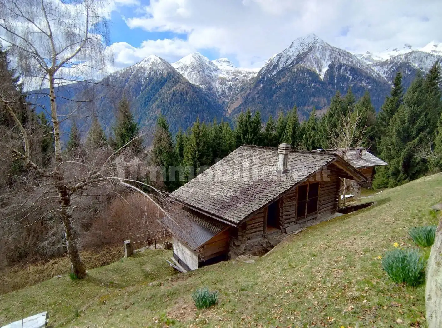Rustico - Casale in vendita a Canal San Bovo