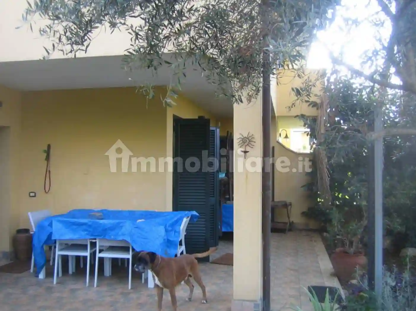 Villa - foto 4