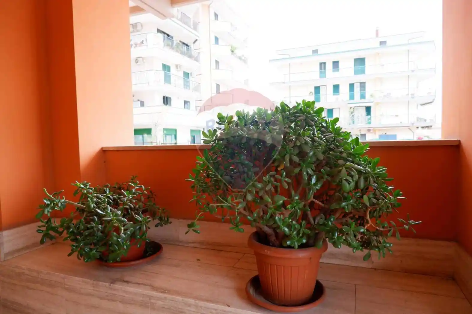 Appartamento via  Josè  Maria Escriva 4, Puccianiello, Caserta - foto 2