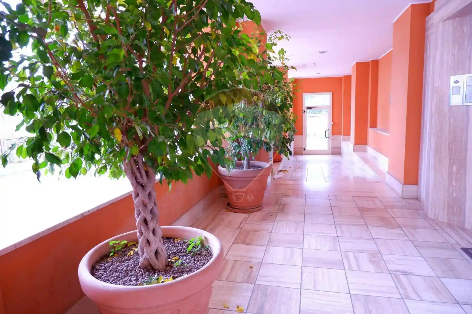 Appartamento via  Josè  Maria Escriva 4, Puccianiello, Caserta - foto 3