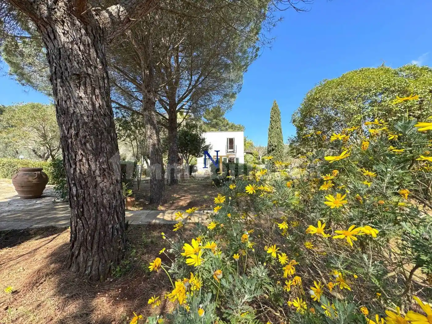 Rustico - Casale in vendita a Ostuni