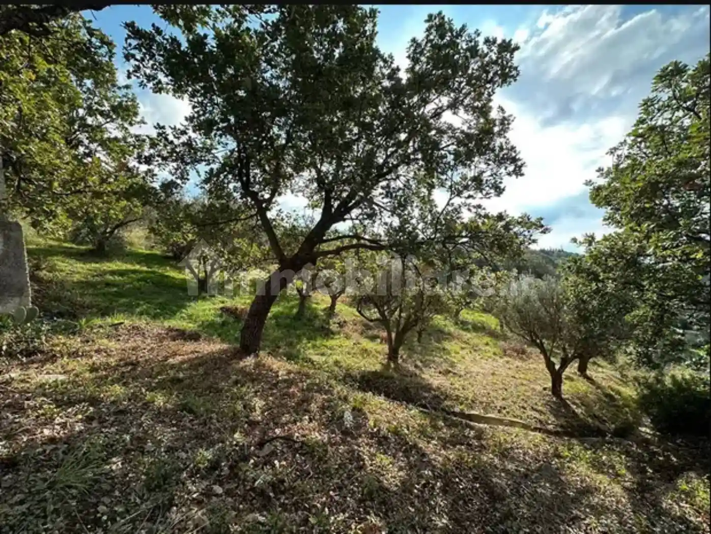 Villa unifamiliare via MARTIN LUTHER KING   SNC, Falerna Scalo, Falerna - foto 3