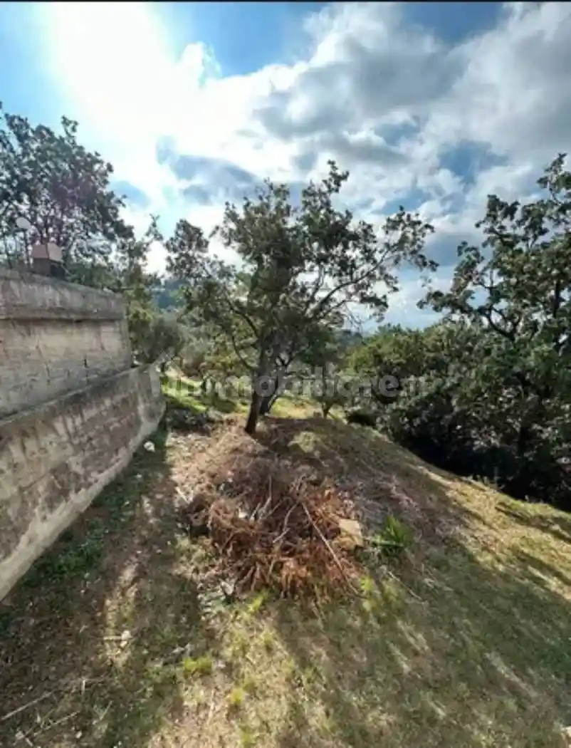 Villa unifamiliare via MARTIN LUTHER KING   SNC, Falerna Scalo, Falerna - foto 5