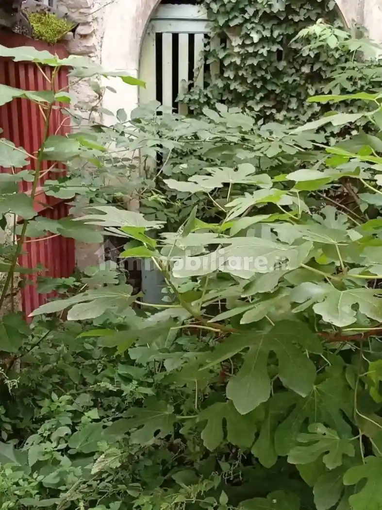 Terratetto unifamiliare via Vallone, Centro, Capestrano - foto 3