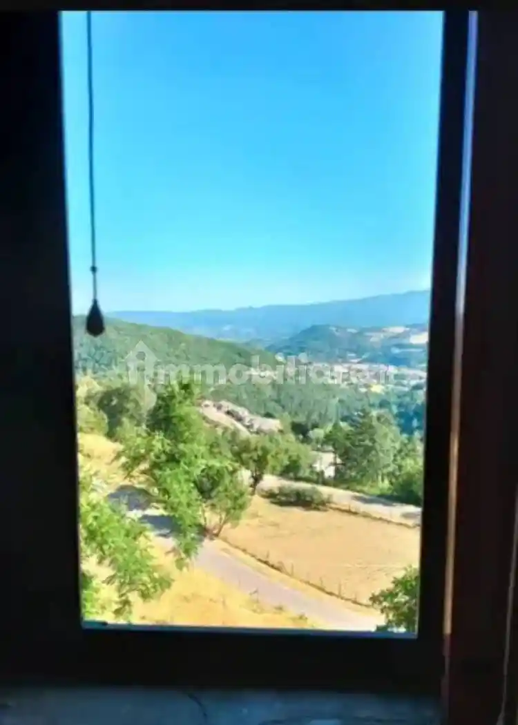 Appartamento in vendita a Pratovecchio e Stia