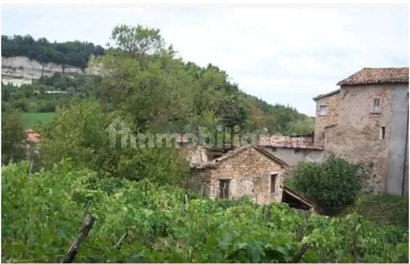 Rustico - Casale in vendita a Mercato Saraceno