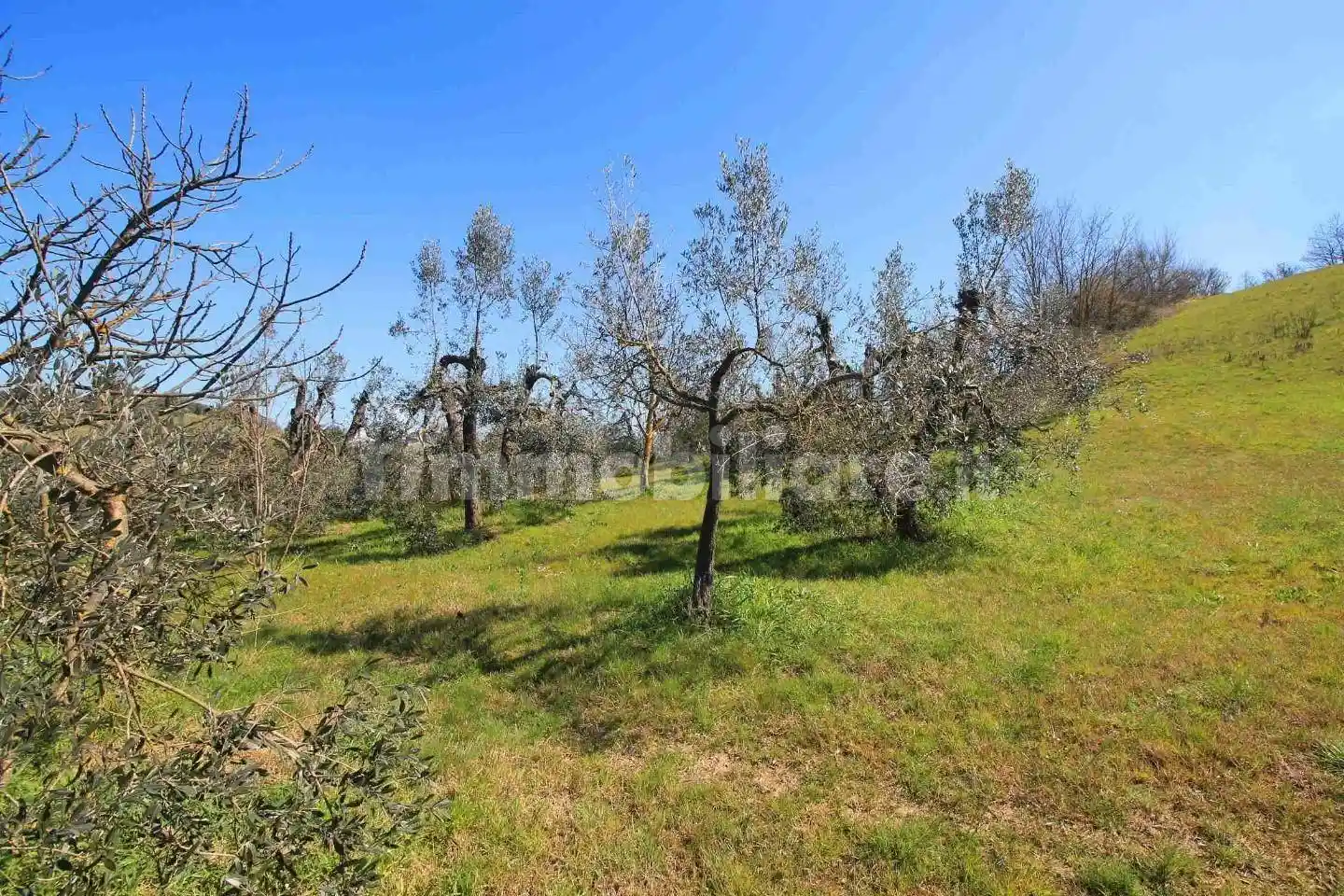 Casale via d'Ormicello,  22, Pozzale - Case Nuove, Empoli - foto 4