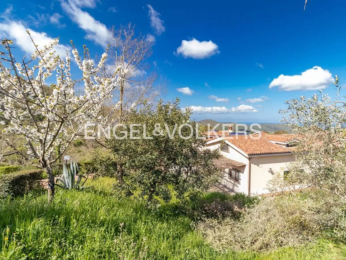 Villa in vendita a Allumiere