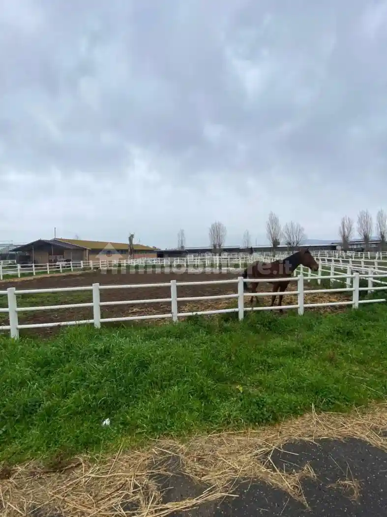 Rustico - Casale in vendita a Aprilia