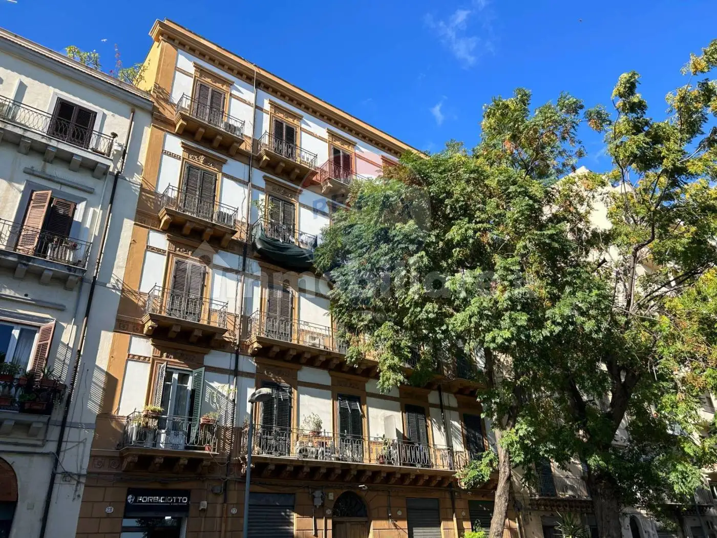 Appartamento in affitto a Palermo