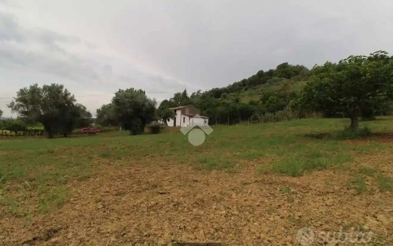 Rustico - Casale - foto 4