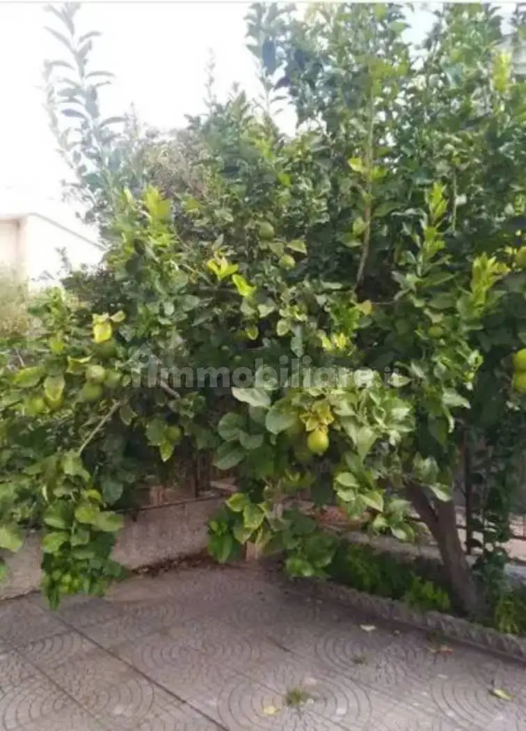 Villetta a schiera in vendita a Amantea