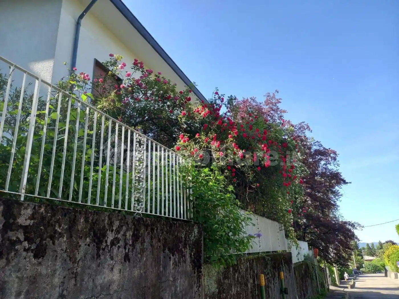 Villa unifamiliare via Piemonte 71, Masnago, Varese - foto 2