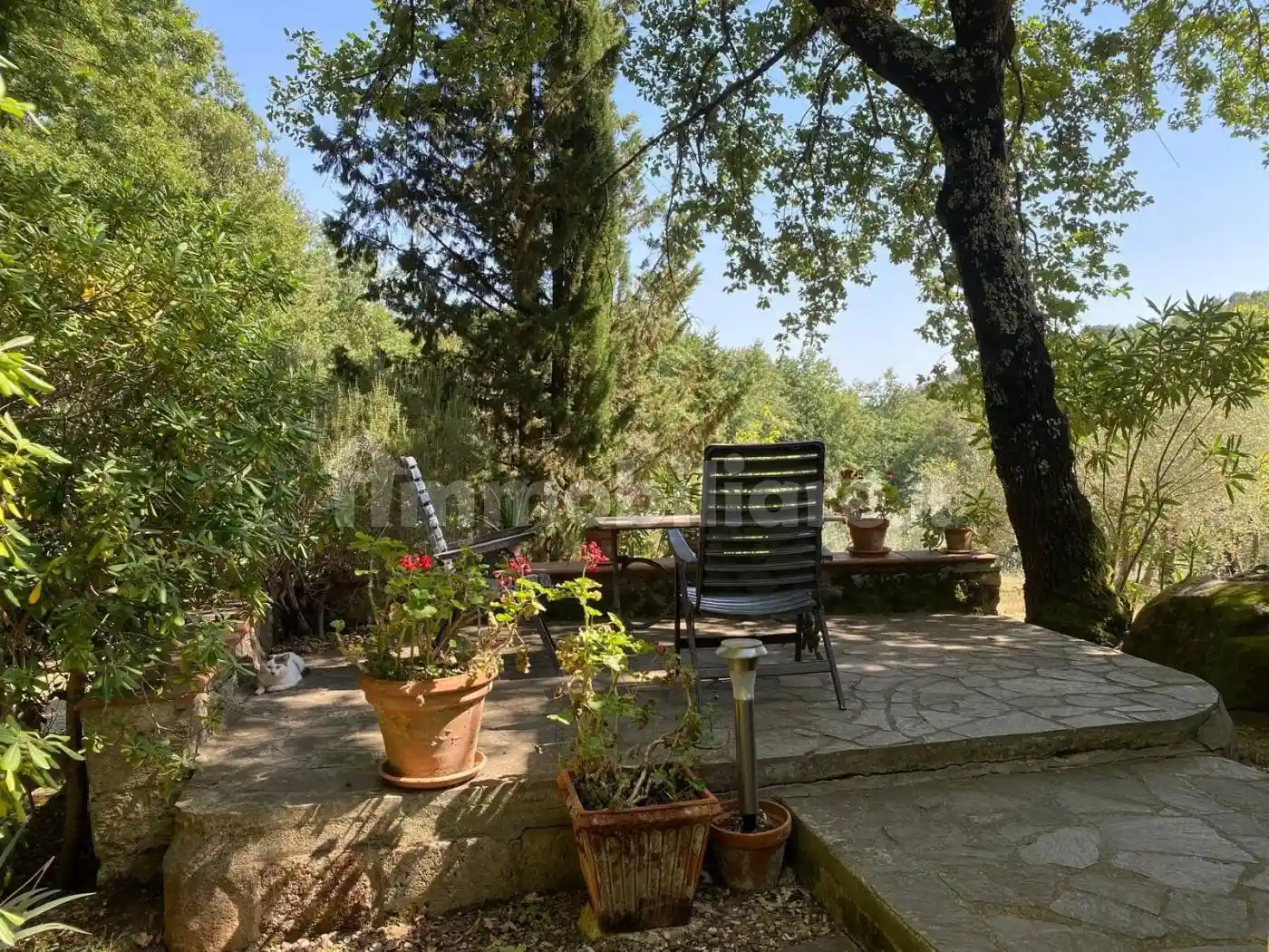 Villa in vendita a Roccastrada