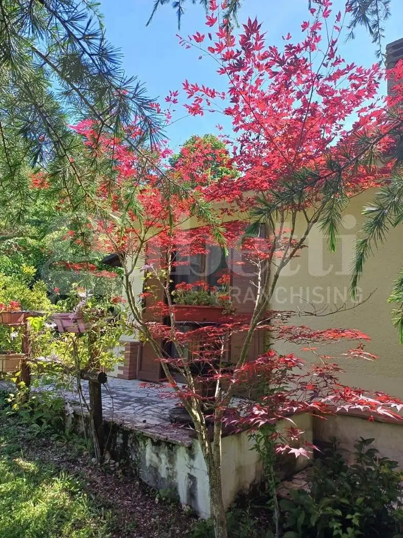 Villa unifamiliare via SAN MARIA DEL MONTE, snc, Borbona - foto 3