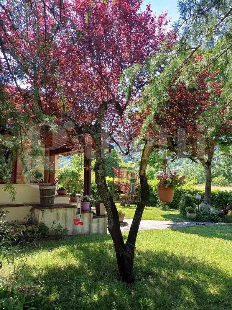 Villa unifamiliare via SAN MARIA DEL MONTE, snc, Borbona - foto 4