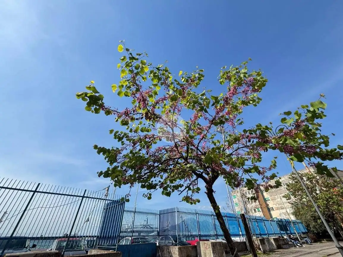 Appartamento in vendita a Castellammare di Stabia