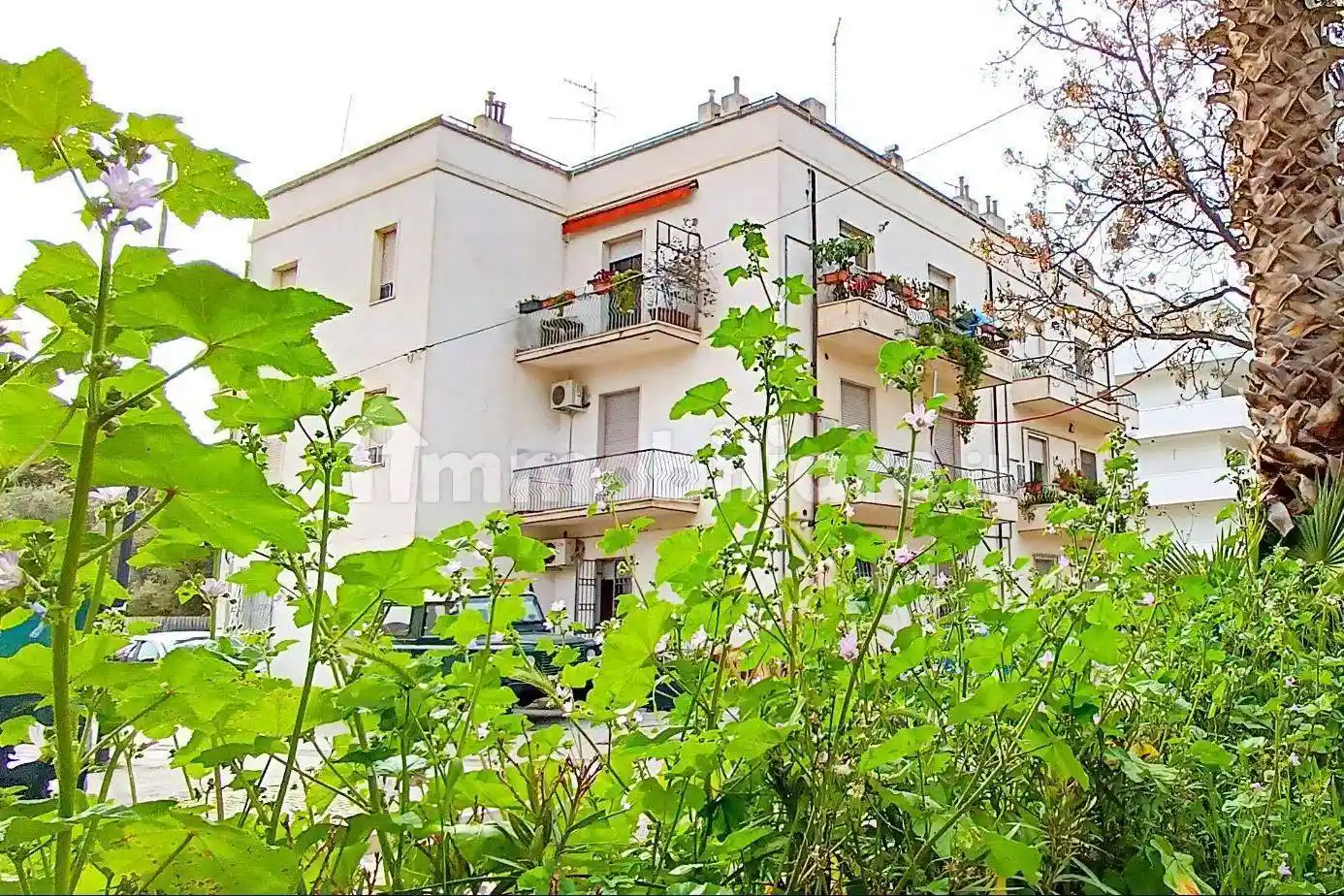 Appartamento in affitto a Pescara