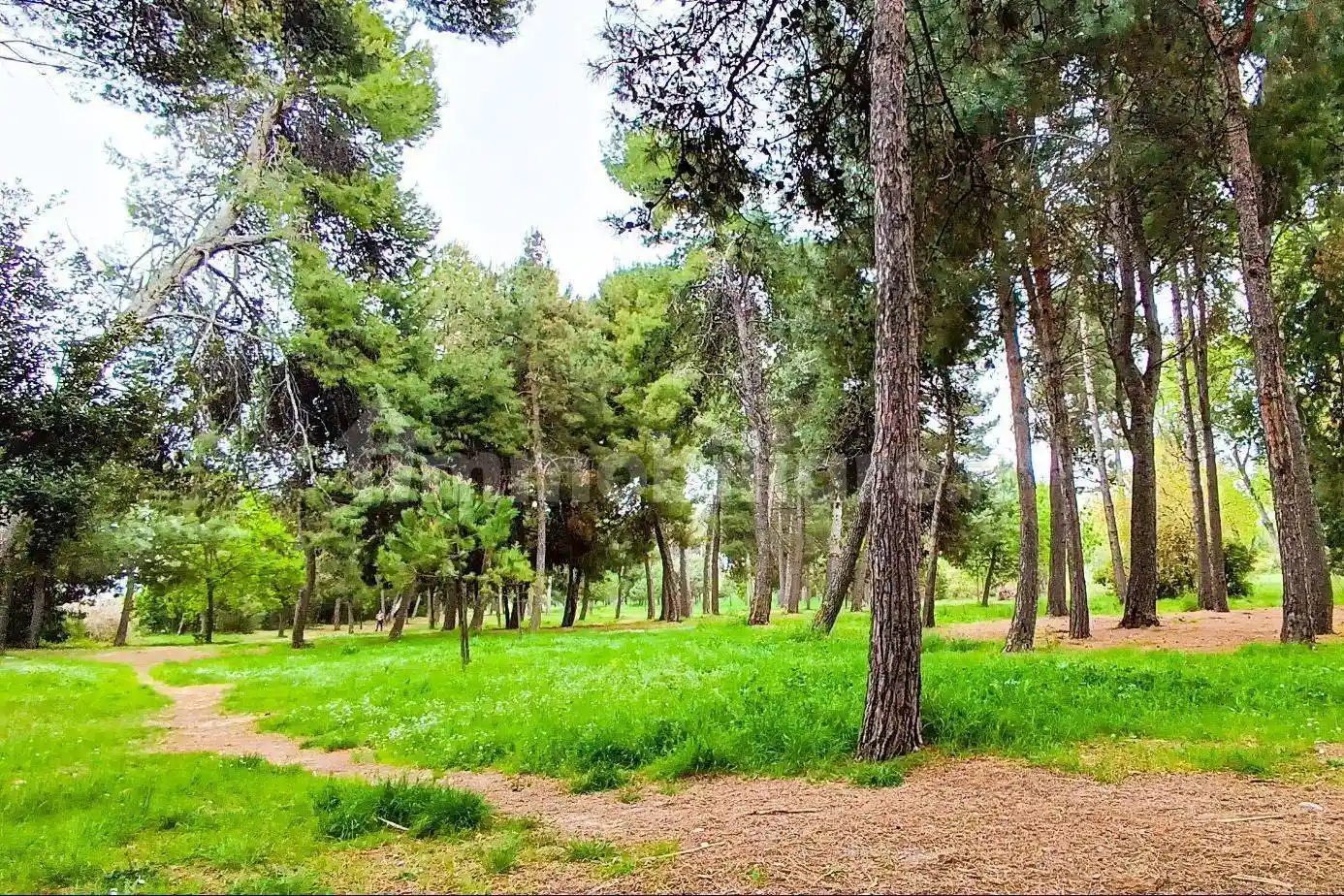 Quadrilocale via Acquacorrente, Santa Filomena, Pescara - foto 4