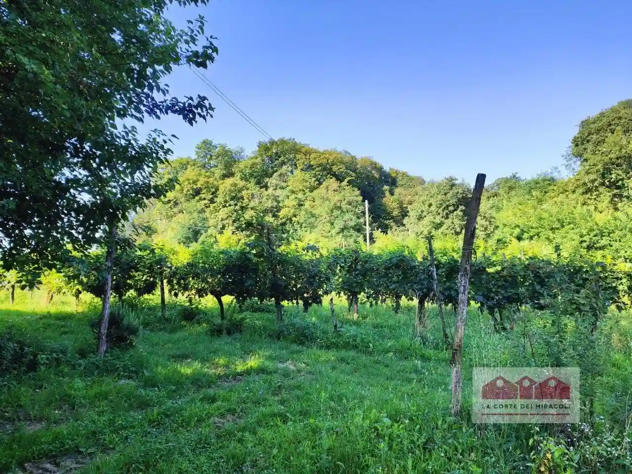 Rustico - Casale - foto 4