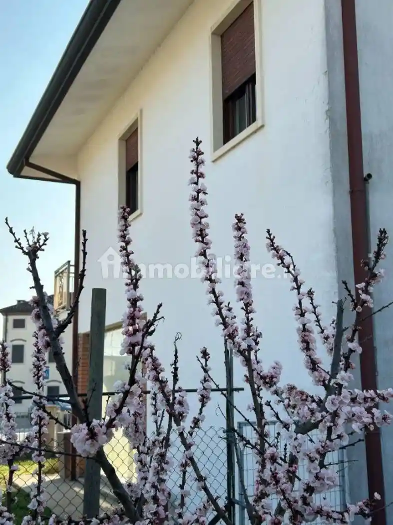 Villa unifamiliare 287 m², Cagnano, Pojana Maggiore - foto 3