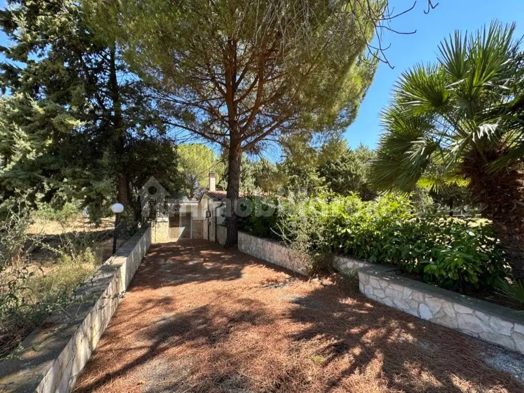 Palazzo - Edificio in vendita a Serracapriola