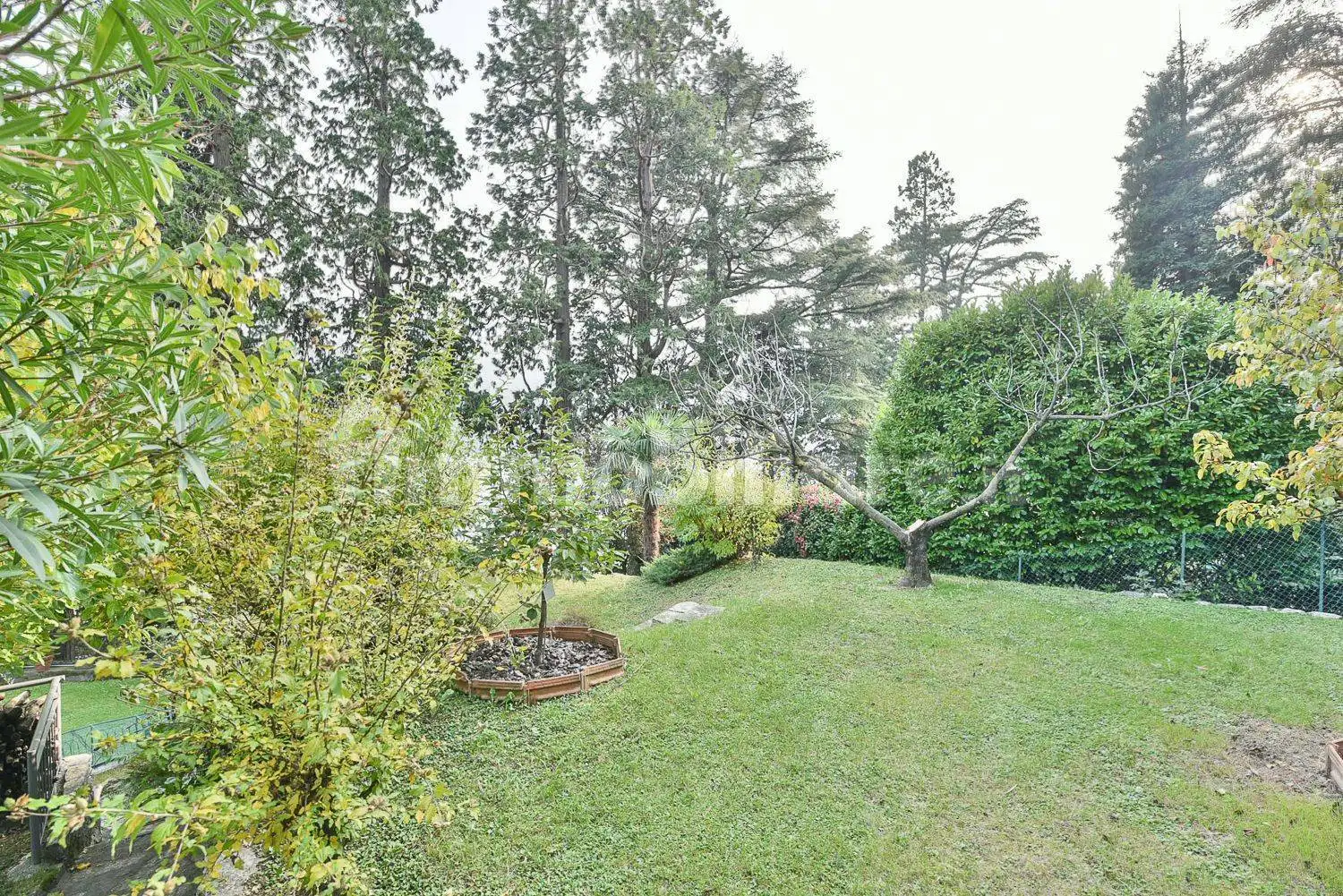 Villa bifamiliare via Piave, Centro, Carate Urio - foto 3