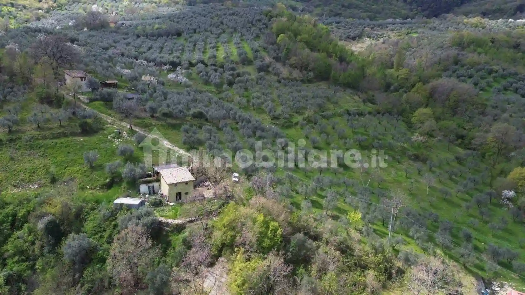 Rustico - Casale - foto 5