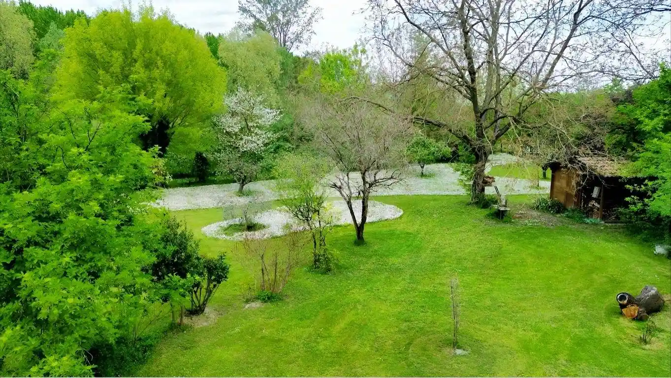 Casa indipendente in vendita a Brescello