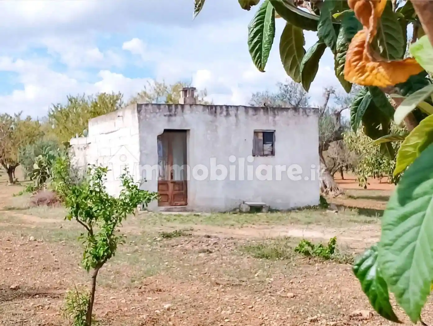Rustico - Casale in vendita a San Vito dei Normanni