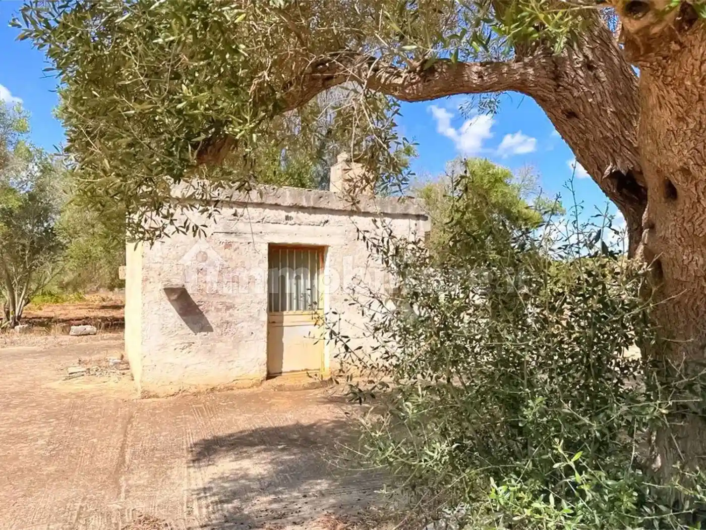 Rustico - Casale in vendita a San Vito dei Normanni