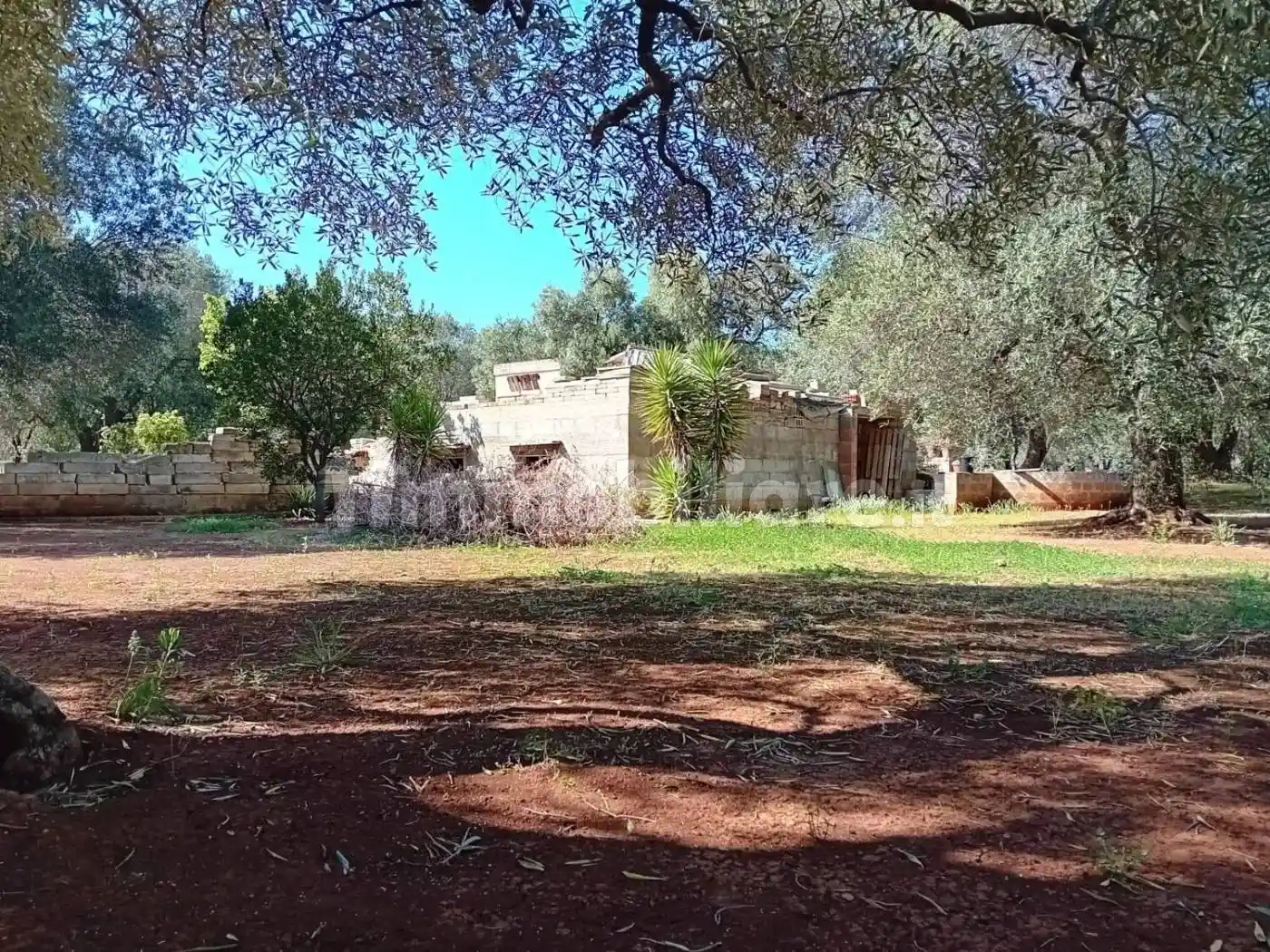 Rustico - Casale in vendita a Carovigno