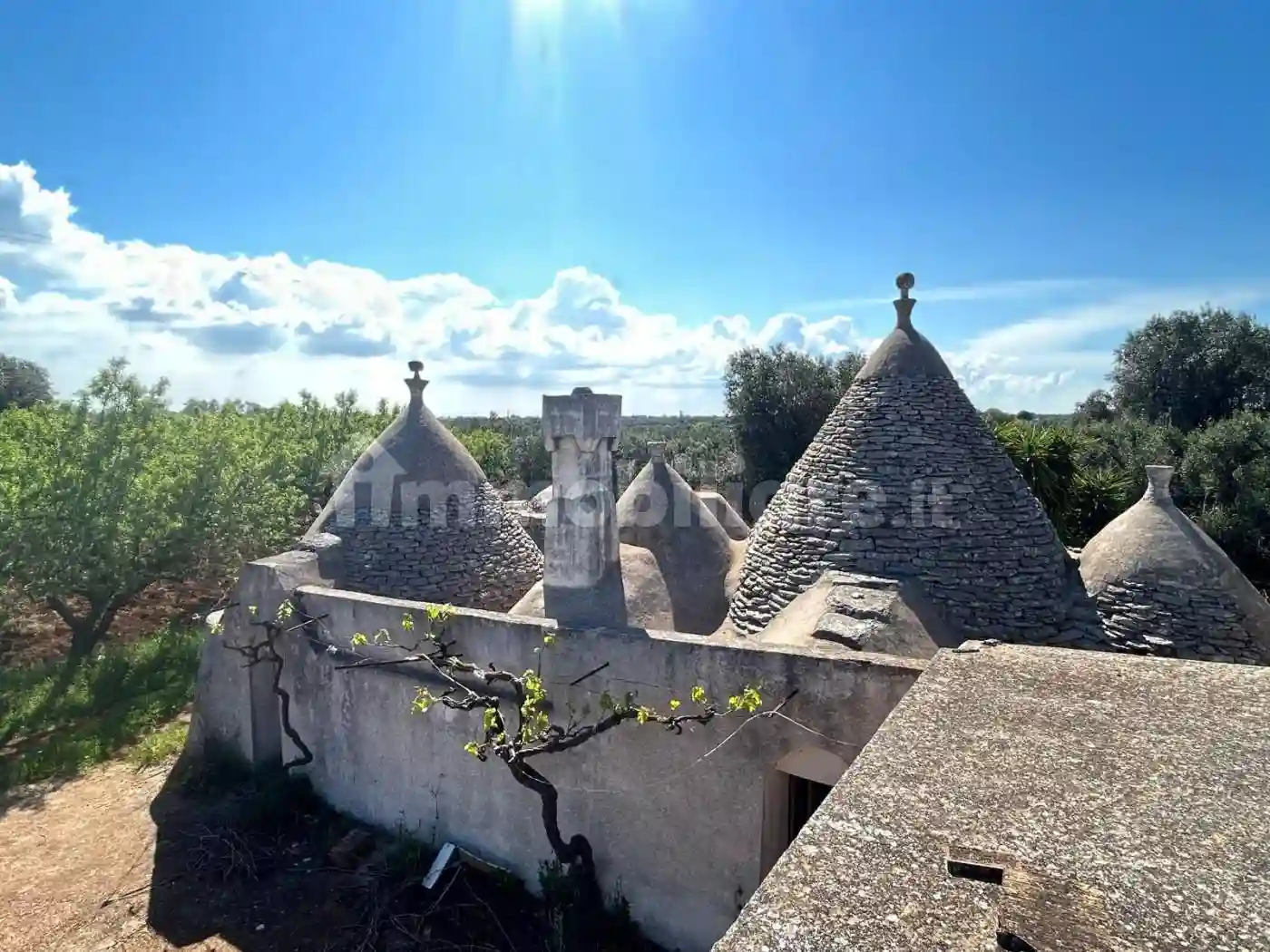 Rustico - Casale - foto 2