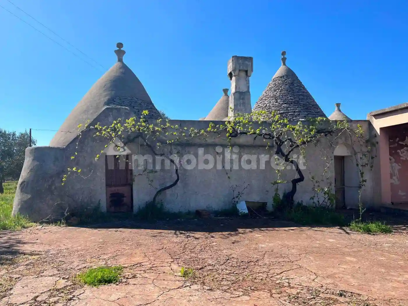 Rustico - Casale - foto 3