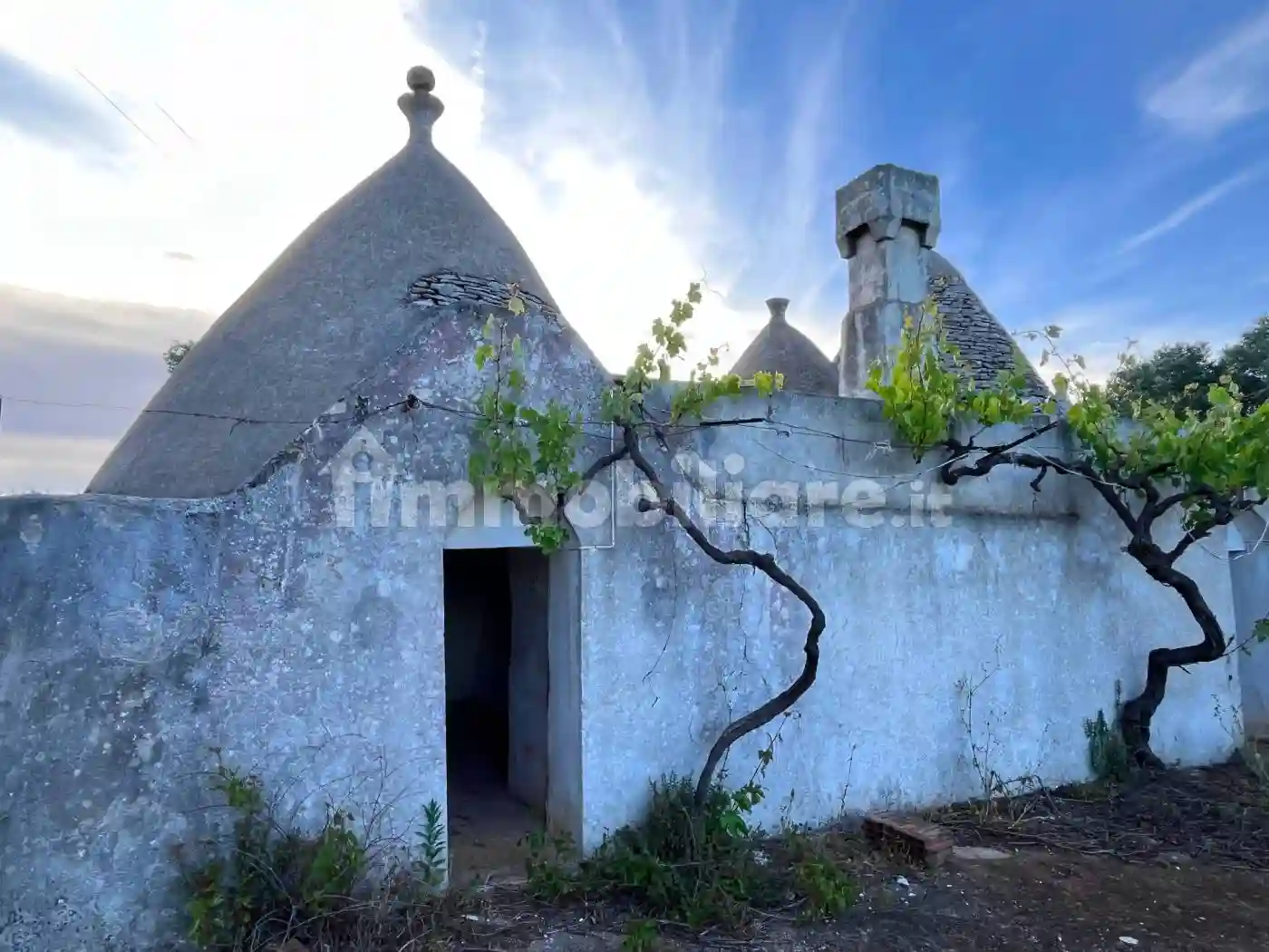 Rustico - Casale - foto 4