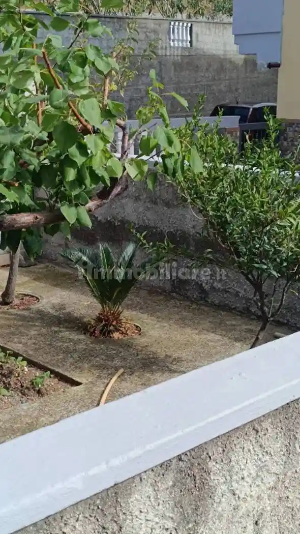 Trilocale via Giuseppe Pezzotti, Monticello, Piano Lettieri, Scalea - foto 2