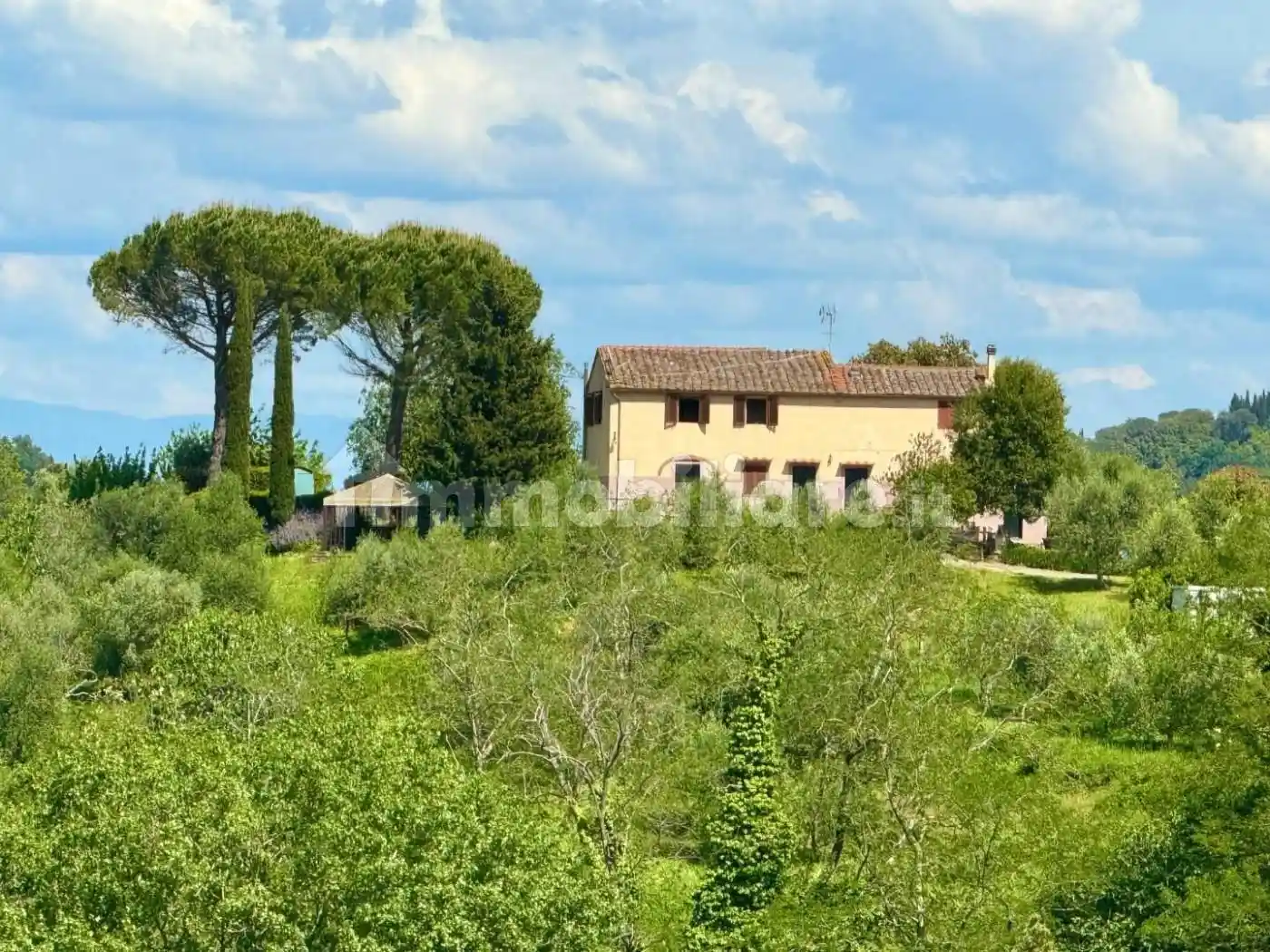 Rustico - Casale in vendita a Palaia