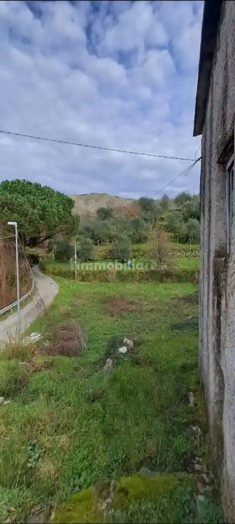 Rustico - Casale in vendita a Ne